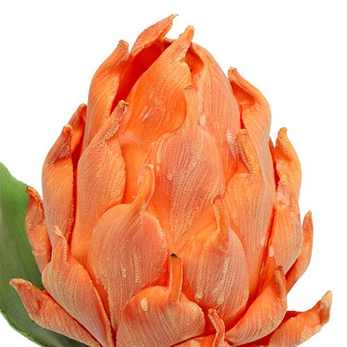 Vaahto-artisokka oranssi 14cm L28cm 1p