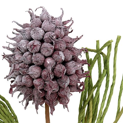 Floristik24 Vaahto kukkii tekokukat lila L65cm