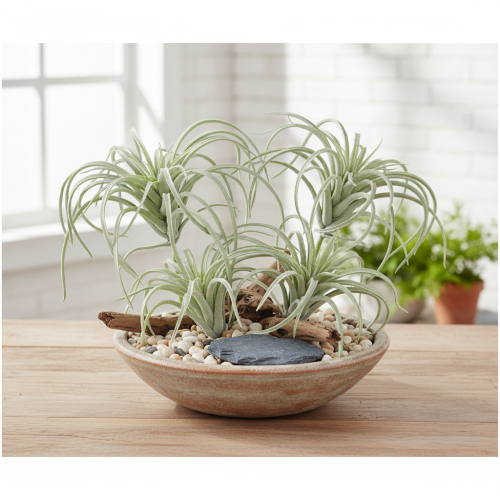 kohteita Tillandsia meheviä keinovihreitä kasveja 13cm