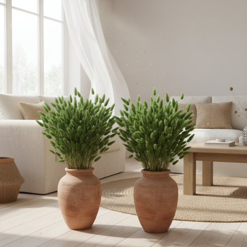 kohteita Kuivattu Lagurus (jäniksenhäntäheinä) 65-70 cm 100 g