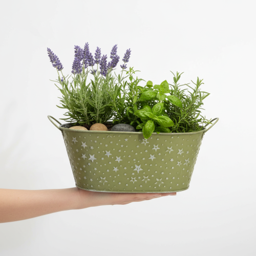 kohteita Soikea metallikulho tähdillä ja kahvoilla, vihreä, 31 × 16 cm, korkeus 12,5 cm