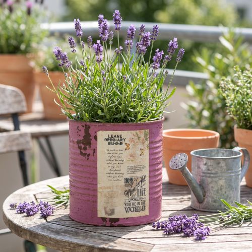 Vintage-istutuslaatikko, violetti, metallinen, kesäkoriste, Ø11cm, korkeus 10.5cm | Floristik24.fi