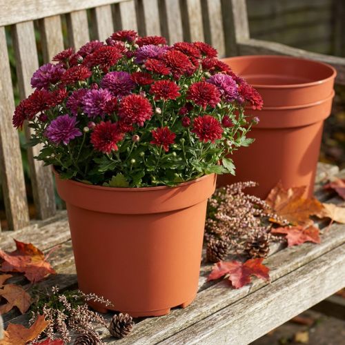 Ruukku muovia Ø23cm 10kpl | Floristik24.fi