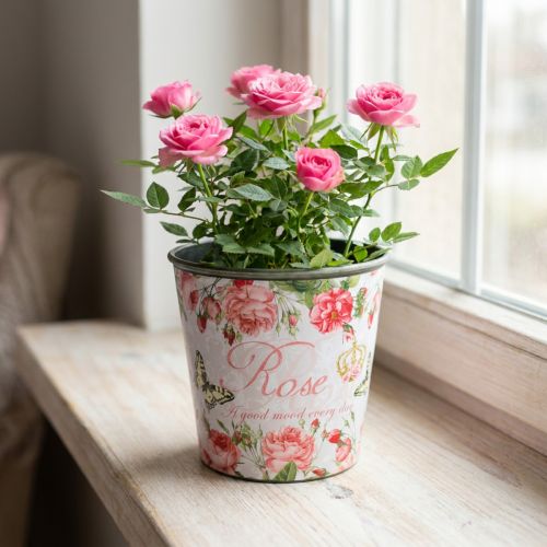 Istutuskone, ämpäri istutusta varten, istutuskone ruusulla H13cm Ø13,5cm | Floristik24.fi