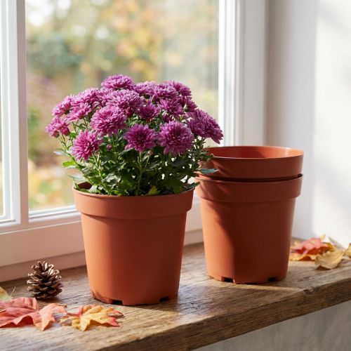 Ruukku muovia Ø17cm 10kpl | Floristik24.fi