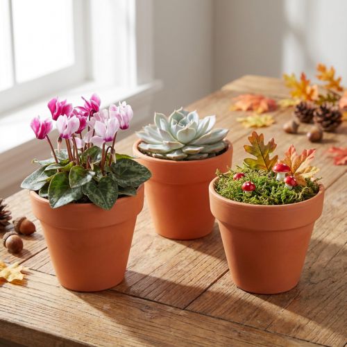Kukkaruukkusavi Ø6cm korkea 5cm 10kpl | Floristik24.fi