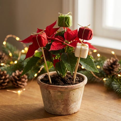 Kukkatulppa Joulu Joulupaketti 2,5cm 15 kpl | Floristik24.fi