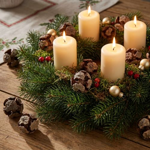 Sypressikäpyjä koristeelliset