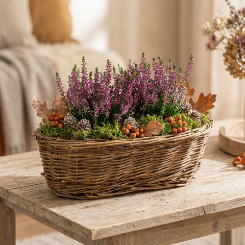 Leipäkori noin 30 cm soikea kuorimaton | Floristik24.fi