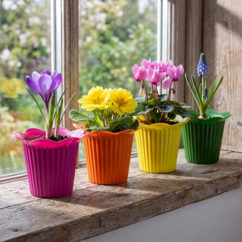 Muoviruukkukukka Ø9cm 25 kpl | Floristik24.fi