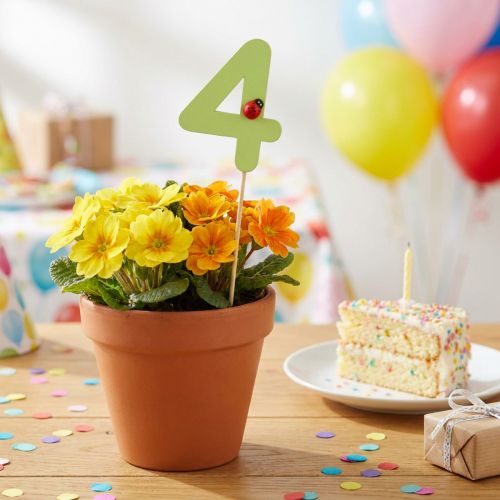 Numerotulpat syntymäpäivä 4 kukkatulpat puu 27,5cm 16 kpl | Floristik24.fi