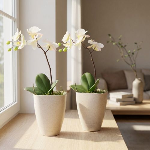 Orkidearuukku, kukkaruukku, muovia, beige kirjava, 13,5x13cm, korkeus 16,5cm, 2 kpl | Floristik24.fi