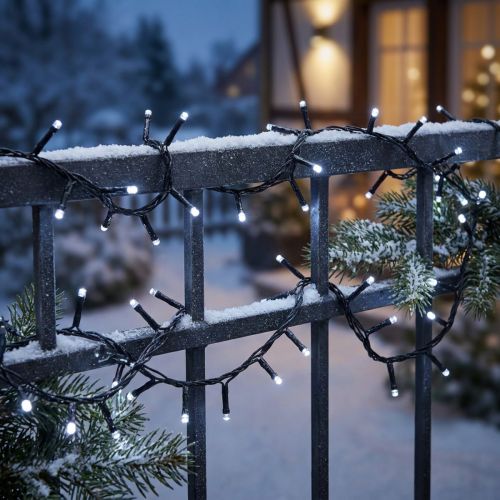 LED riisi valo ketju 40s 3m ulkona kylmä valkoinen | Floristik24.fi