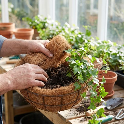 Kookoskuitu luonnonkuitu kasvikuitu luonnonkuitu askartelumateriaali 1kg | Floristik24.fi