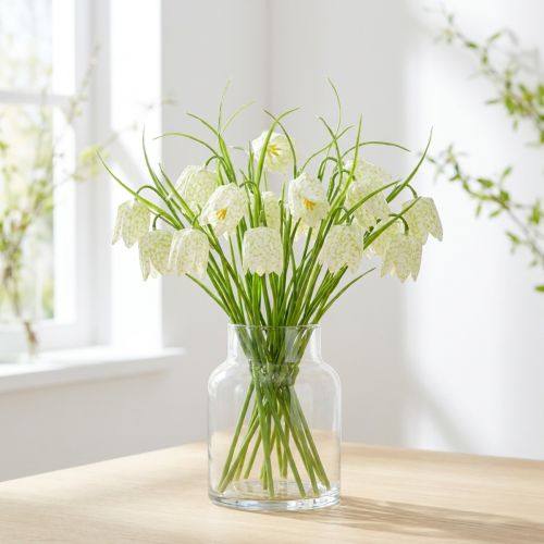 Shakkilaudan kukat Fritillaria tekovalkoinen, vihreä 40cm 12 kpl | Floristik24.fi