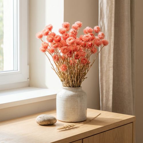Kuivatut kukat korkkikukat lohi olkikukat H42cm | Floristik24.fi