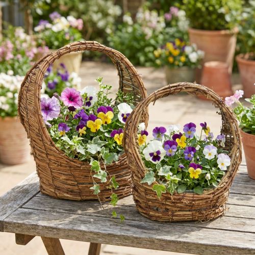 Istutuskori kahvalla, köynnöskuvio, P18/22cm, 2 kpl setti | Floristik24.fi