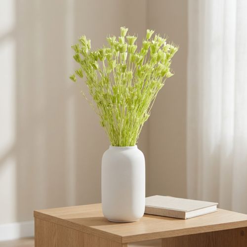 Kuivattuja Nigellan kukkia, ihastuttava luonnollinen huonekoriste kotiin, 70 cm, 50 g | Floristik24.fi