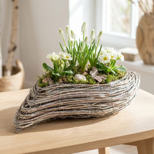 Kasvivene kasvi wave rottinki luonnonvalkoinen 45x16cm | Floristik24.fi