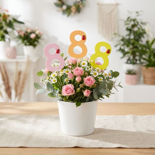Juhlapäivänumero "8" värikäs numerotulppa puu 7,5cm 16 kpl | Floristik24.fi