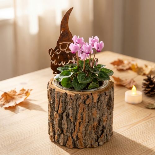 Kukkaruukku, puukuori, gnome, ruoste, korkeus 24 cm | Floristik24.fi