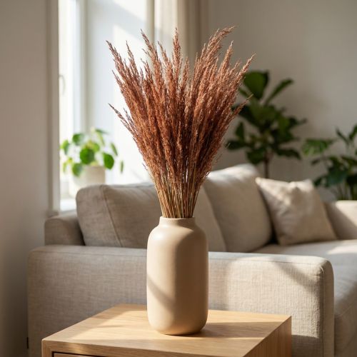 Red Bent Grass Agrostis Dry Grass Punainen Ruskea 65cm 80g | Floristik24.fi