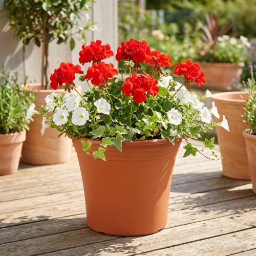 Ruukku "Irys" muovinen terrakotta Ø22cm K18cm 1 kpl | Floristik24.fi