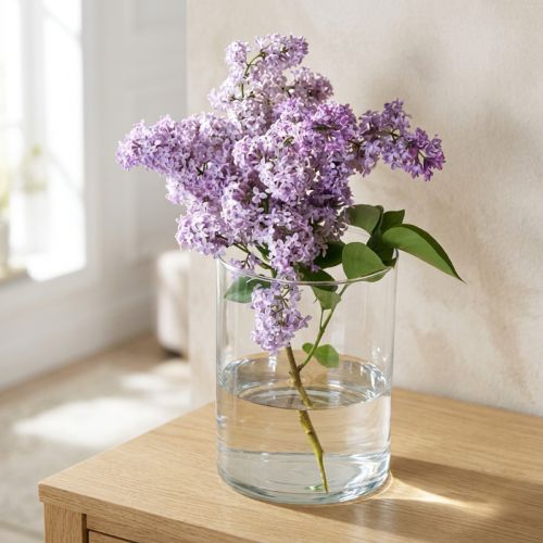 Lasimaljakko kirkas sylinterimäinen Ø12cm K20cm | Floristik24.fi