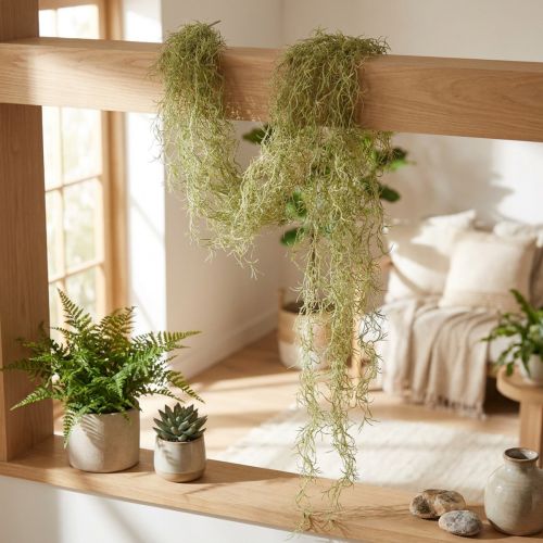 Tillandsia koristeriippuva Tillandsia keinotekoinen vihreä valkoinen 180cm | Floristik24.fi