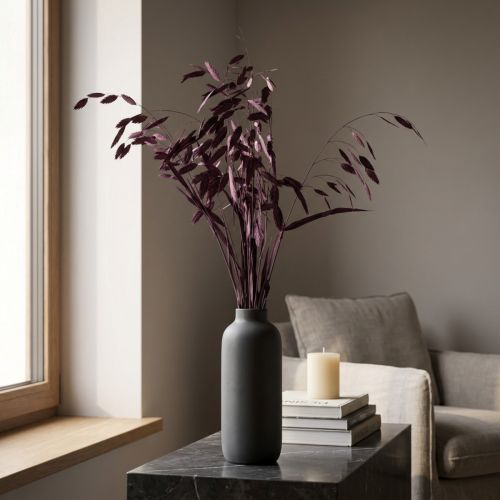 kohteita Litteäkorvainen heinä kuiva heinä Chasmantium violetti 70cm 10 kpl
