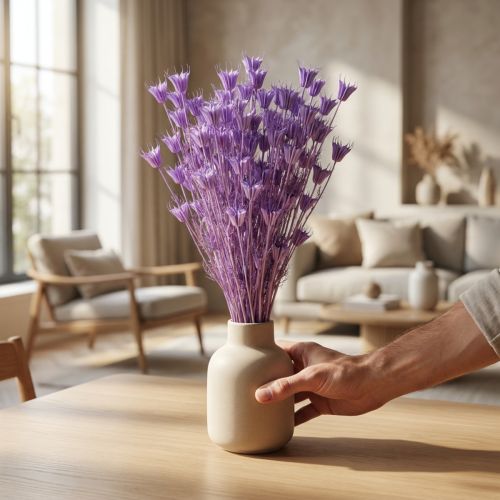 Kuivattujen nigella-kukkien kimppu, koristekäyttöön olohuoneessa, luo ainutlaatuisen tunnelman, 70 cm, 50 g | Floristik24.fi