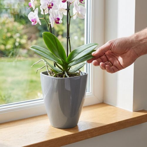 Orkidearukku kiiltävä Ø12,5cm harmaa 1 kpl | Floristik24.fi