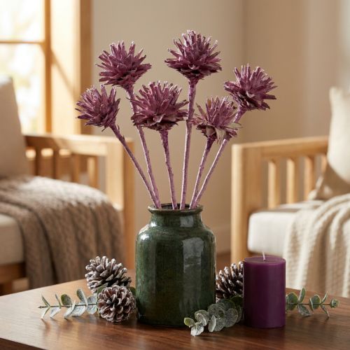 kohteita Leucospermum 1 karhunvatukka kuorrutettu 25 kpl