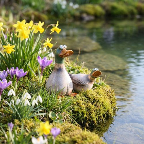 Ducks koristeellinen keraaminen kevät ruskea vihreä L15cm 2 kpl | Floristik24.fi