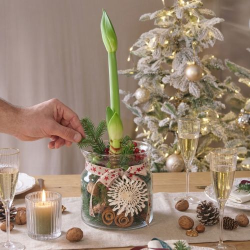 Koristeellinen lasi maljakkolyhty lasi kirkas Ø18cm H20cm | Floristik24.fi