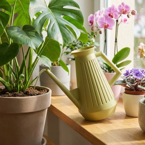 Sisäkastelukannu, oliivinvihreä, retrotyylinen, 24,5 cm, 1,8 l, designkastelukannu, muovia, kasvien kasteluun | Floristik24.fi