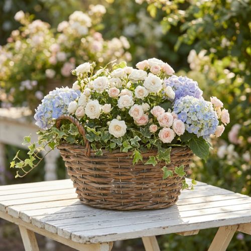 Kukkakori, shabby chic, luonnonvalkoinen, korkeus 14 cm, halkaisija 30 cm, kahvoilla, vintage-sisustus | Floristik24.fi