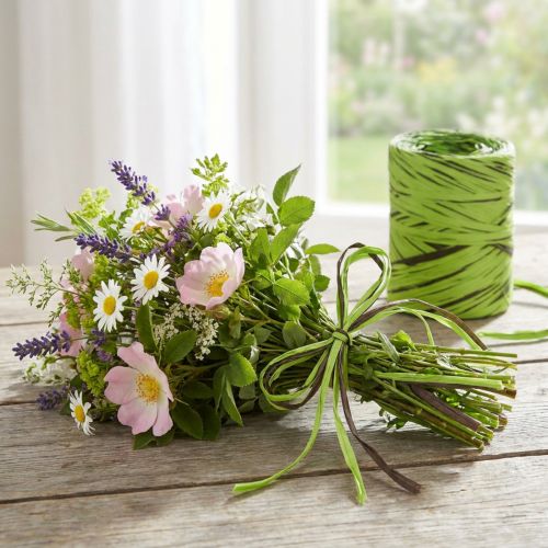 kohteita Raffia nauha vihreä, ruskea, poly raffia 200m
