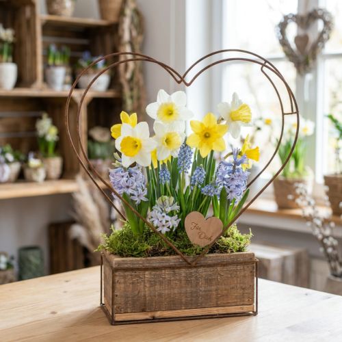 Kasvilaatikko puinen sydän koristeruoste H41cm/39cm 2 kpl setti | Floristik24.fi