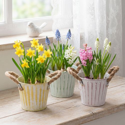 Istutusämpäri, metallinen ruukku kahvoilla, koristeellinen istutusastia, pinkki/vihreä/keltainen, shabby chic, Ø12cm, korkeus10cm, 3 kpl setti | Floristik24.fi