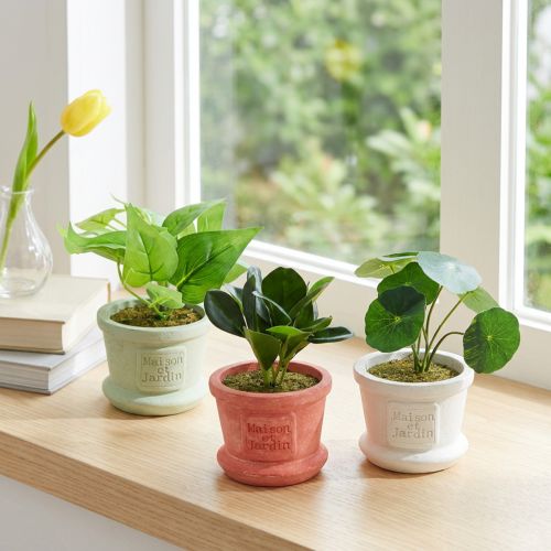 Keinotekoiset viherkasvit minikasvit ruukussa 15cm 3kpl | Floristik24.fi