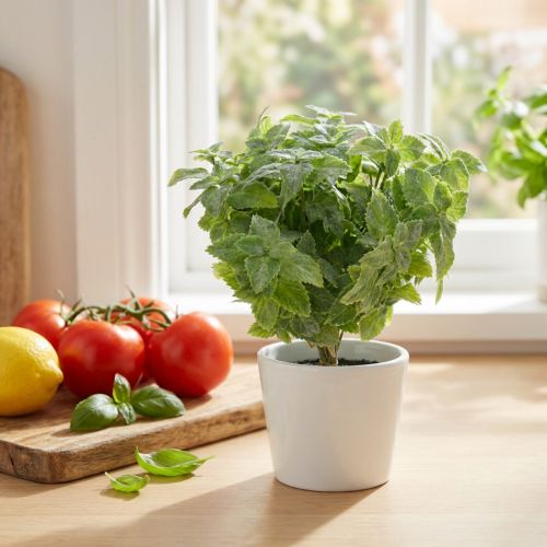 Mintun keinovihreä 25cm 12 kpl | Floristik24.fi