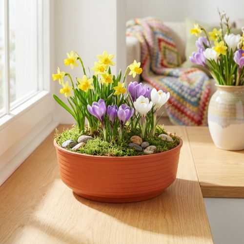Z-kulho muovia Ø16cm 10 kpl | Floristik24.fi