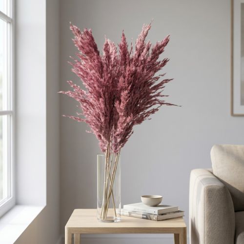 Kuivattua ruokoheinää, kuivattua koristeheinää, antiikkiruusu, 75 cm, 10 kpl | Floristik24.fi
