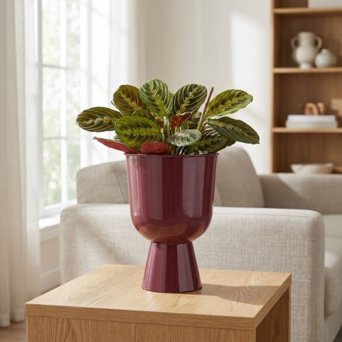 Kukkaruukku, kupinmuotoinen, moderni tyyli, koristeellinen mihin tahansa kotiin ja toimistoon, 23 cm | Floristik24.fi