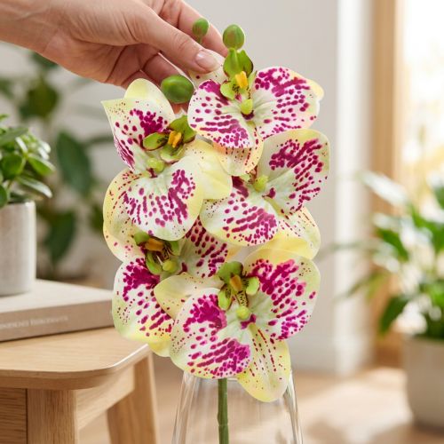 Keinotekoinen orkideahaara Phaelaenopsis Green Pink H49cm | Floristik24.fi