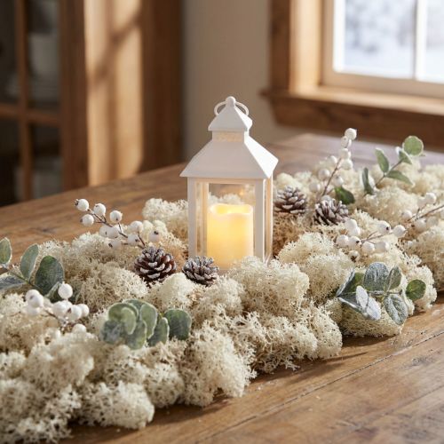 Moss Islannin sammal valkaistu 400g | Floristik24.fi