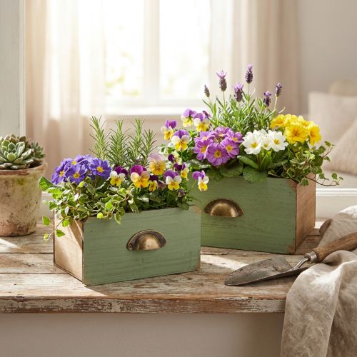 Kasvilaatikko puiset laatikkokoristeet 22/18cm 2kpl setti | Floristik24.fi