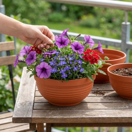 kohteita R-kulho muovinen terrakotta Ø19cm, 10 kpl