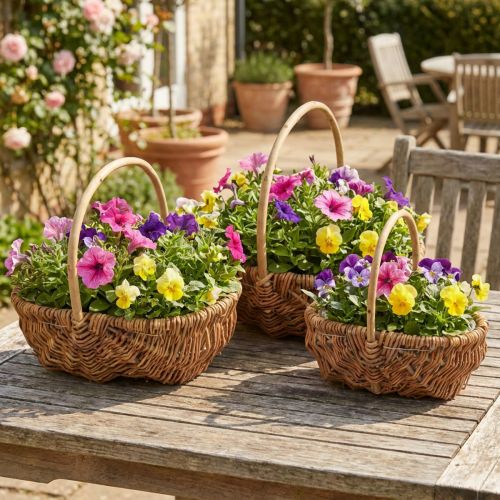 Kori kasvikori kudottu kori kahvalla luonnollinen 33/28/22cm sarja 3 | Floristik24.fi
